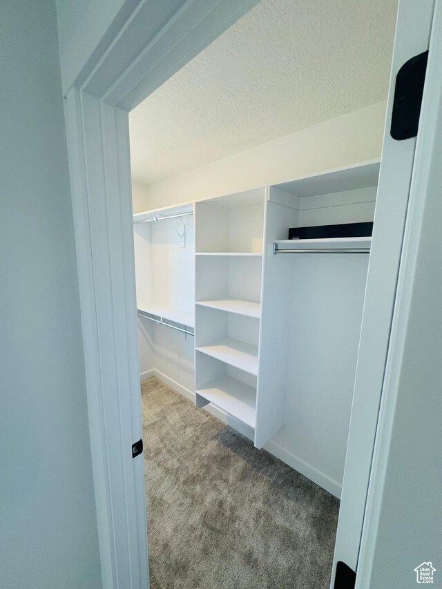 1650 N Main St Unit 126, Layton, UT 84041 - spacious closet featuring carpet floors
