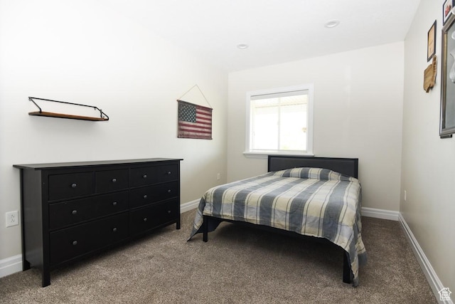 497 N Old Lincoln Hwy W, Grantsville, UT 84029 - photo 47