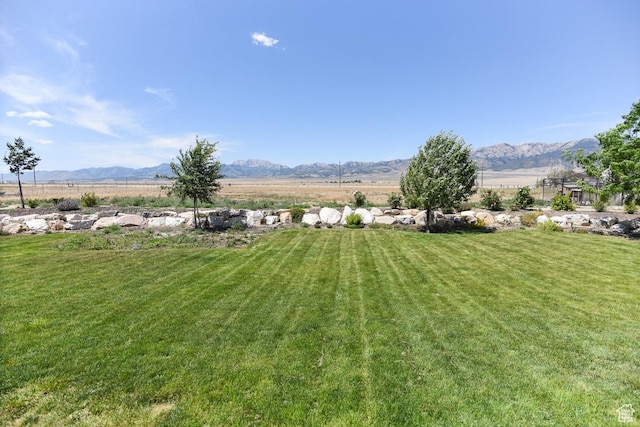 497 N Old Lincoln Hwy W, Grantsville, UT 84029 - photo 76