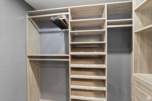 684 N Mccormick Blvd, Moab, UT 84532 - view of walk in closet