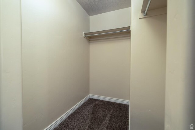 361 E 535 S, Vernal, UT 84078 - walk in closet with carpet floors
