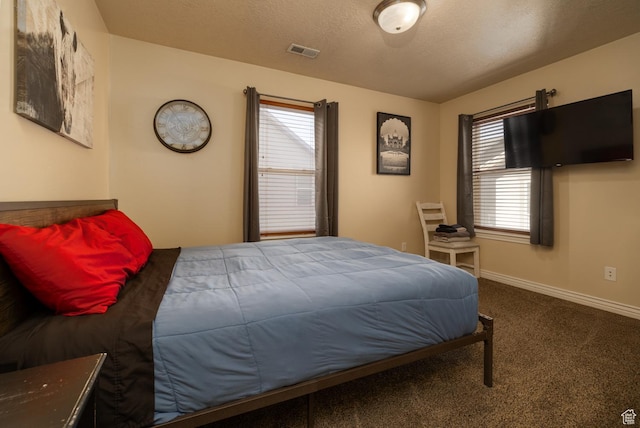361 E 535 S, Vernal, UT 84078 - bedroom with carpet floors, multiple windows, and a textured ceiling