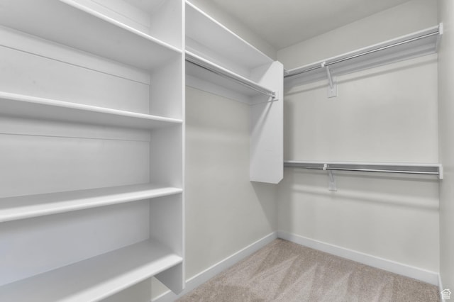 421 W Domain Ln, Grantsville, UT 84029 - walk in closet featuring carpet flooring