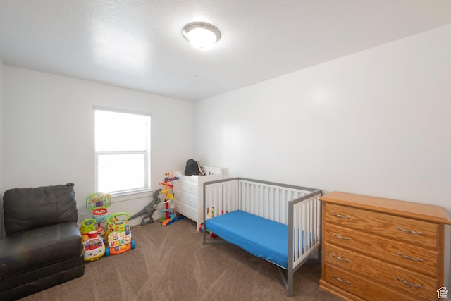 721 S 110 W, Spanish Fork, UT 84660 - view of carpeted bedroom
