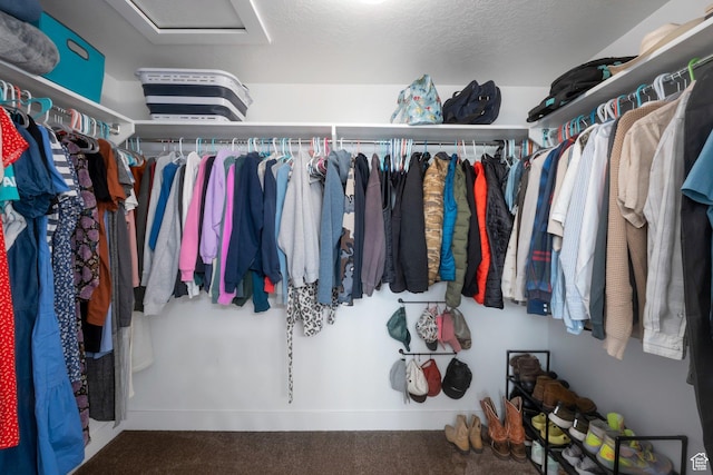 721 S 110 W, Spanish Fork, UT 84660 - spacious closet with attic access and carpet