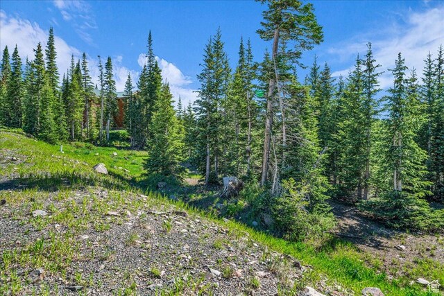 731 E Autumn Dr, Brian Head, UT 84719 - photo 4