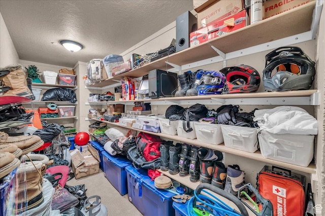 731 E Autumn Dr, Brian Head, UT 84719 - photo 46