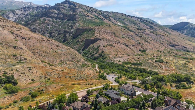 1131 E Mahogany Ln, Pleasant Grove, UT 84062