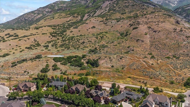 1131 E Mahogany Ln, Pleasant Grove, UT 84062