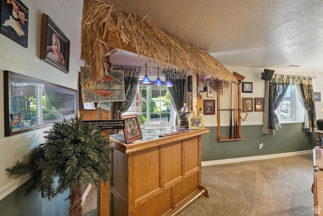 1680 N Camelot Dr E, North Logan, UT 84341 - bar area featuring a textured ceiling and carpet