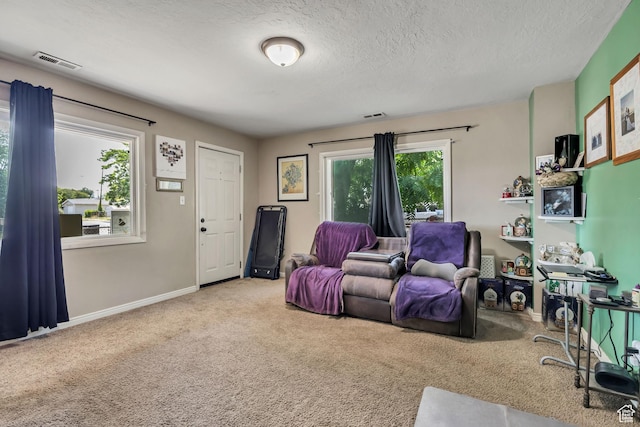 2752 S 9150 W, Magna, UT 84044 - living area with carpet and a textured ceiling