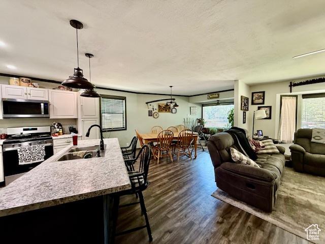 536 N Sundance Cir, Vernal, UT 84078 - kitchen featuring appliances with stainless steel finishes, open floor plan, white cabinets, and dark wood-style flooring