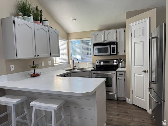 1216 N 2725 W, Layton, UT 84041 - kitchen with stainless steel appliances, a peninsula, lofted ceiling, dark wood-style flooring, and light countertops
