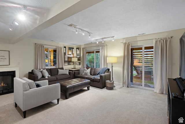 3605 W Wrangler Way, Park City, UT 84098 - living area with rail lighting, carpet, a textured ceiling, and a warm lit fireplace