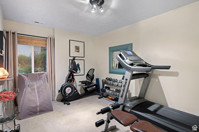 3605 W Wrangler Way, Park City, UT 84098 - exercise area with carpet floors and a textured ceiling