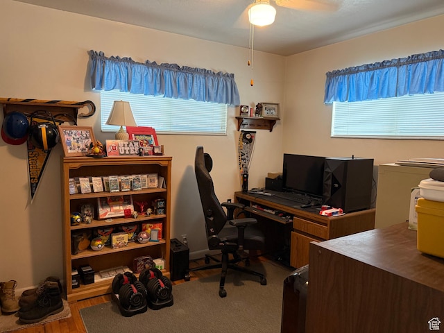 2936 E Ln Joya Dr S, Holladay, UT 84124 - office space featuring ceiling fan