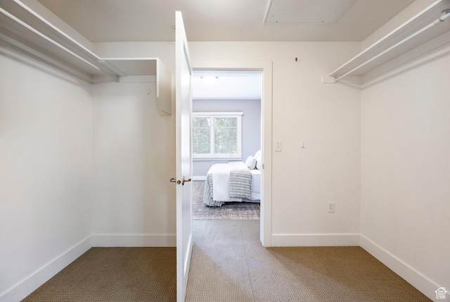 1988 S 1100 E Unit 308, Salt Lake City, UT 84105 - walk in closet featuring carpet