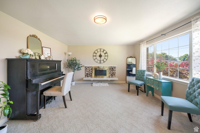 117 E 300 S, Gunnison, UT 84634 - sitting room with a glass covered fireplace and carpet floors