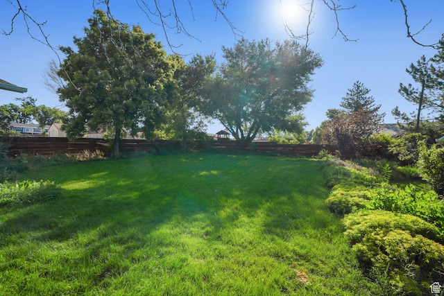 117 E 300 S, Gunnison, UT 84634 - view of yard