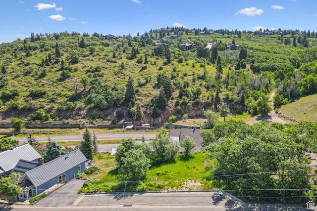 97 Prospect Ave, Park City, UT 84060