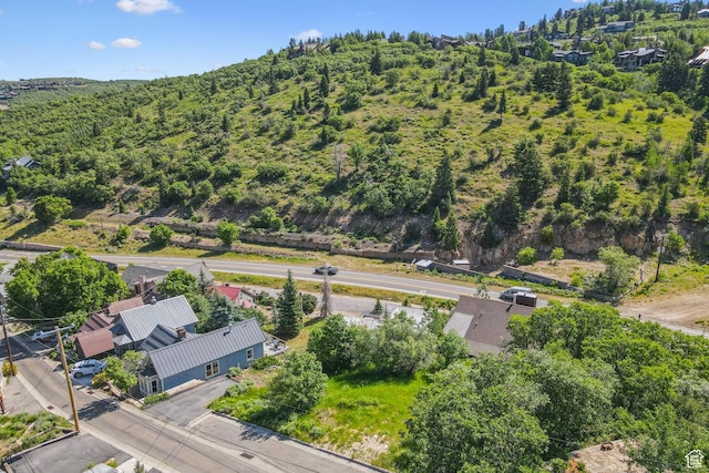 97 Prospect Ave, Park City, UT 84060