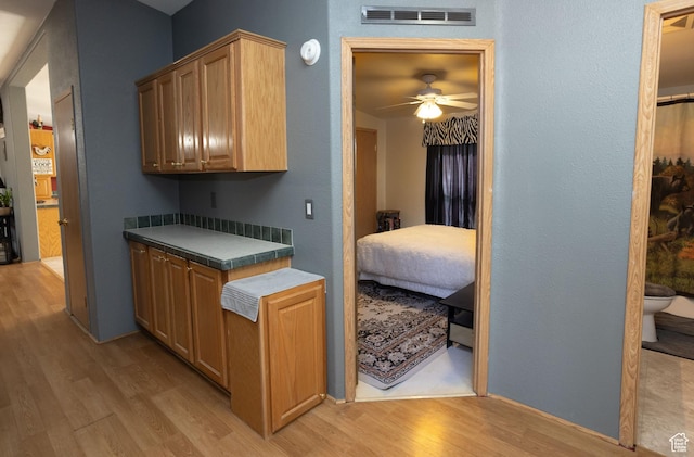 205 W 575 S, Venice, UT 84701 - kitchen featuring light wood-type flooring, ceiling fan, and dark countertops