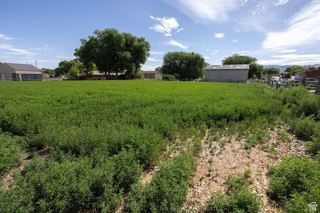205 W 575 S, Venice, UT 84701 - view of yard