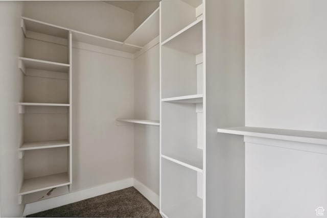 1856 S 2575 W, West Haven, UT 84401 - spacious closet featuring carpet flooring