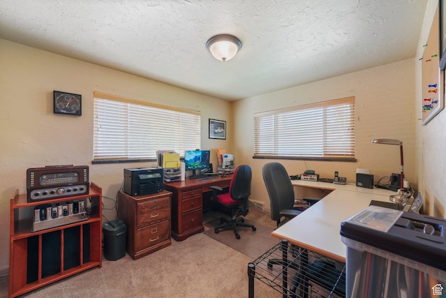 5572 S Avalon Dr, Murray, UT 84107 - photo 10