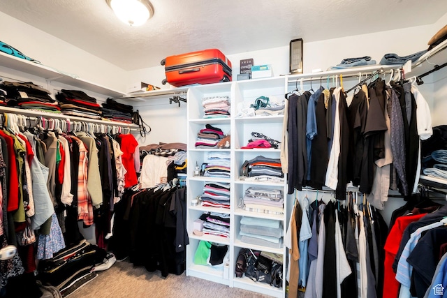 142 W Hackberry Rd, Vineyard, UT 84059 - walk in closet with carpet floors