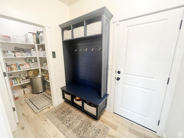 291 W 950 S, Vernal, UT 84078 - mudroom featuring light wood-type flooring