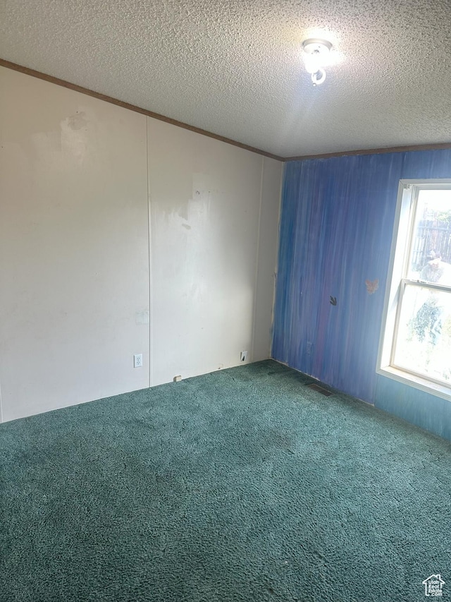 419 E 700 N, Vernal, UT 84078 - empty room with carpet floors, a textured ceiling, and crown molding
