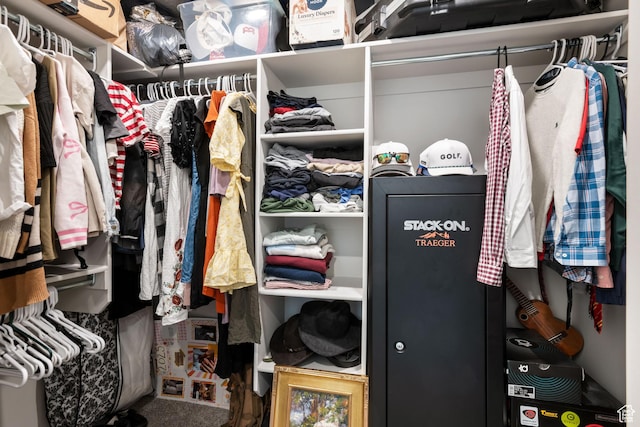 12333 S Pesky Ln, Herriman, UT 84096 - view of walk in closet
