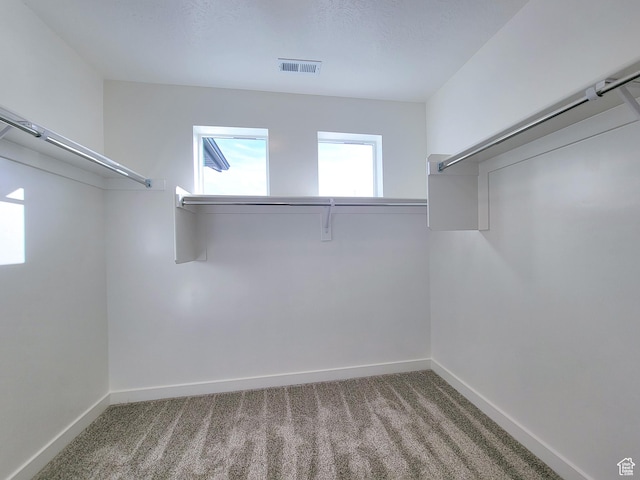 6767 S Glade Creek Dr Unit 230, West Jordan, UT 84081 - walk in closet with carpet flooring