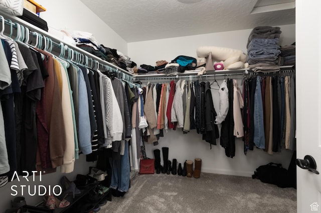 6392 N Wild Mare Way, Stansbury Park, UT 84074 - walk in closet with carpet floors