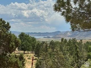 9 Red Cir, Manila, UT 84046 - view of mountain backdrop