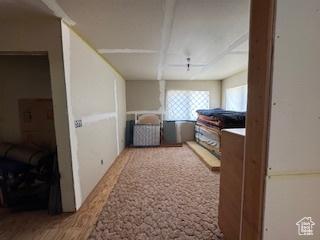 9 Red Cir, Manila, UT 84046 - view of corridor