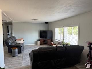 325 E Ashley Way, Manila, UT 84046 - living area with wood finished floors and baseboards