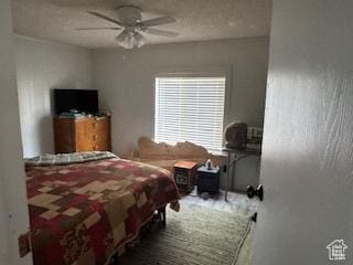 325 E Ashley Way, Manila, UT 84046 - bedroom with ceiling fan
