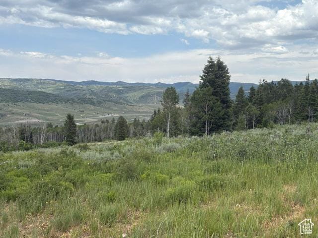 22738 E Snowbird Dr Unit C35, Spanish Fork, UT 84660