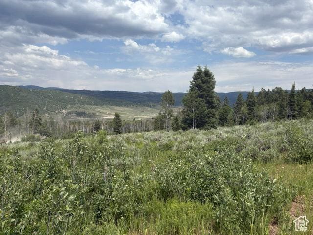 22738 E Snowbird Dr Unit C35, Spanish Fork, UT 84660