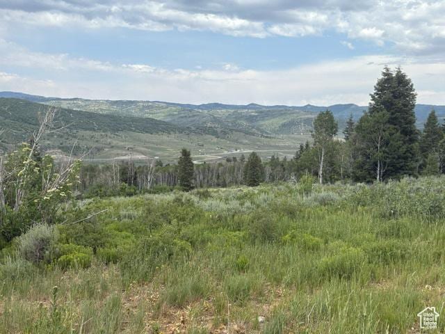 22738 E Snowbird Dr Unit C35, Spanish Fork, UT 84660