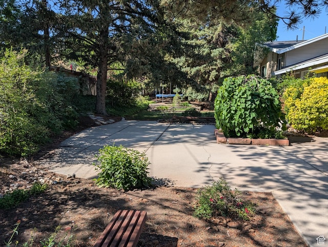 7481 S Castle Hill Cir, Cottonwood Heights, UT 84121 - view of concrete driveway