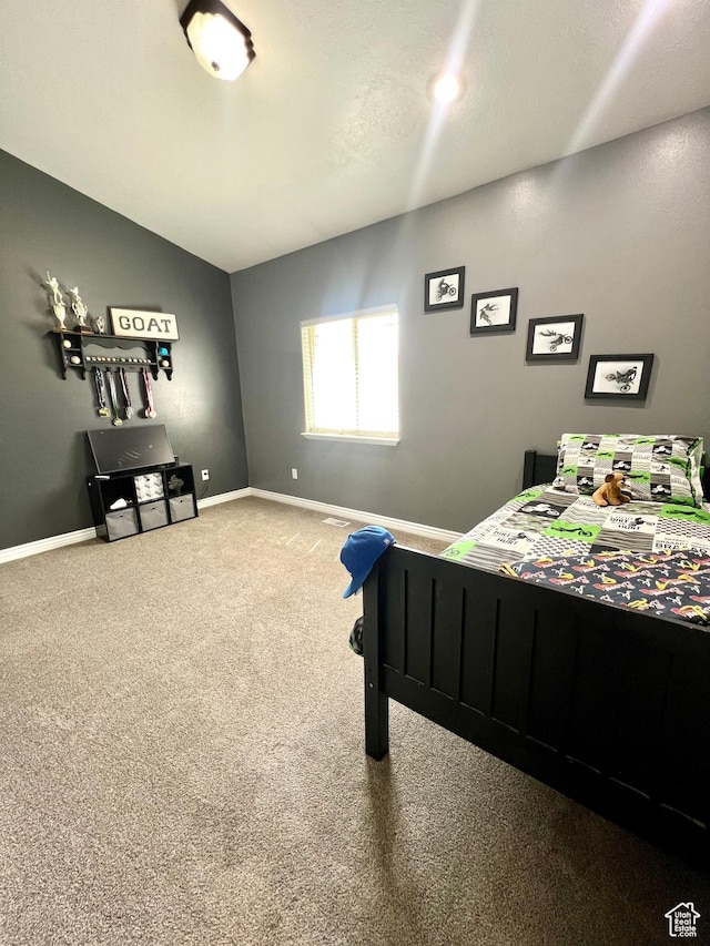 80 N 200 W, Central Valley, UT 84754 - carpeted bedroom with vaulted ceiling and baseboards