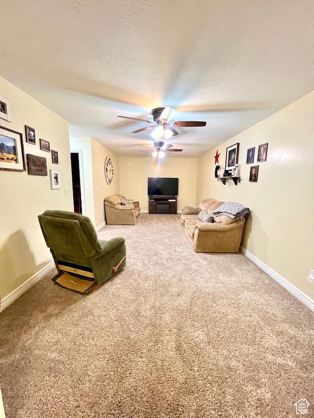 80 N 200 W, Central Valley, UT 84754 - living room with carpet floors and a ceiling fan