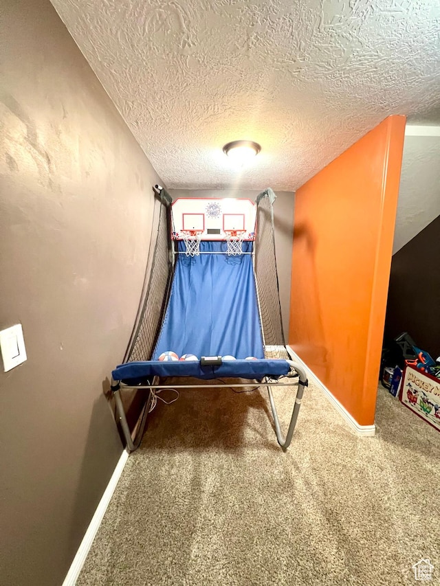 80 N 200 W, Central Valley, UT 84754 - recreation room featuring carpet flooring and a textured ceiling