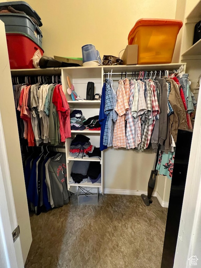 80 N 200 W, Central Valley, UT 84754 - walk in closet featuring carpet flooring