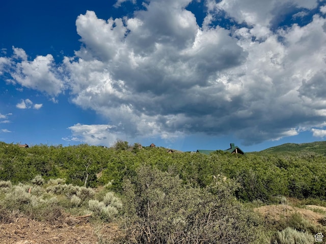 7321 E Oakview Dr Unit 1473, Heber City, UT 84032