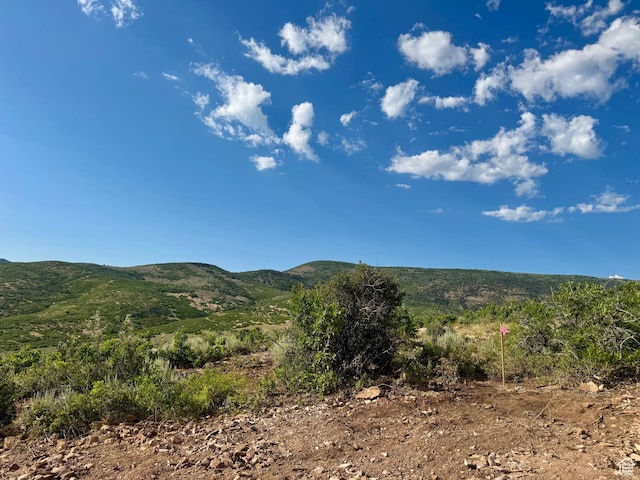 7321 E Oakview Dr Unit 1473, Heber City, UT 84032