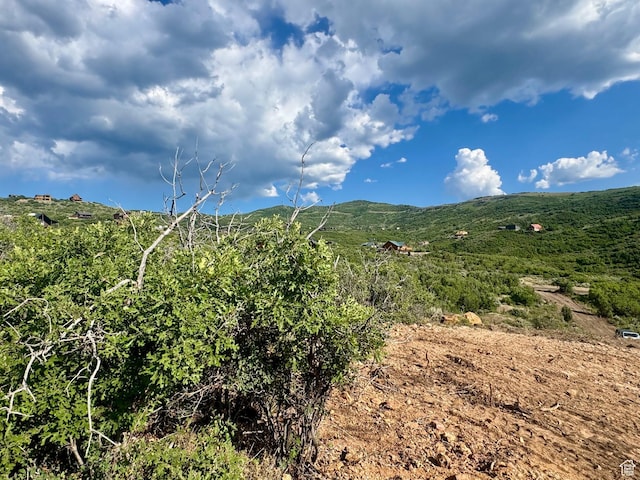 7321 E Oakview Dr Unit 1473, Heber City, UT 84032